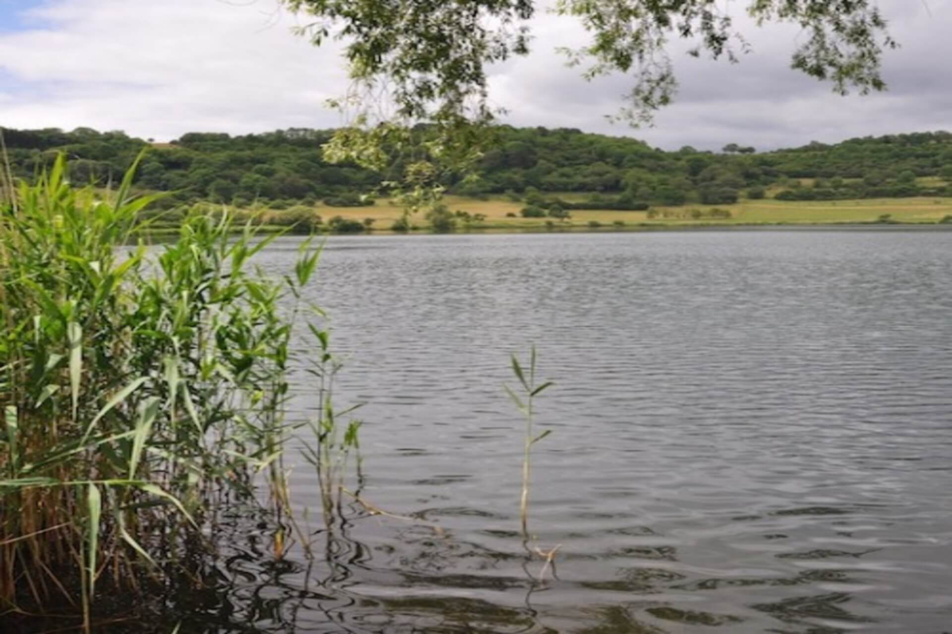 WhatsApp Image 2025-08-16 at 13.09.26 (1)